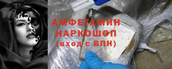 сатива Гусь-Хрустальный