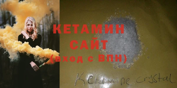 прущие грибы Гусиноозёрск