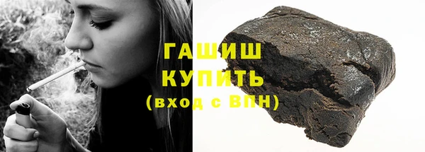 прущие грибы Гусиноозёрск