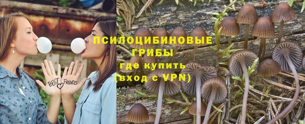 тгк Мегион