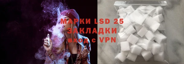 прущие грибы Гусиноозёрск