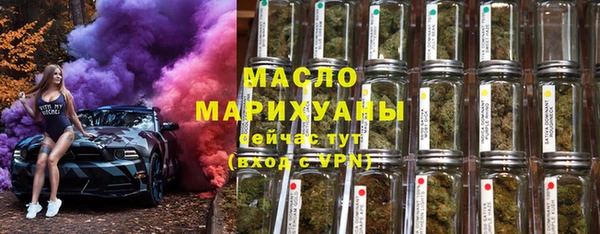 сатива Гусь-Хрустальный