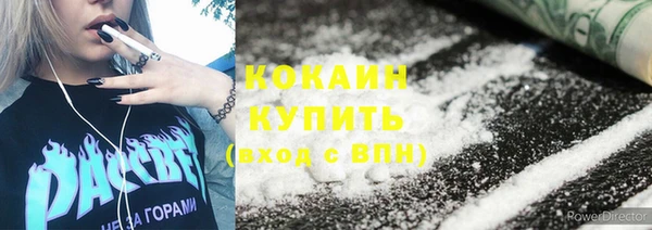 прущие грибы Гусиноозёрск