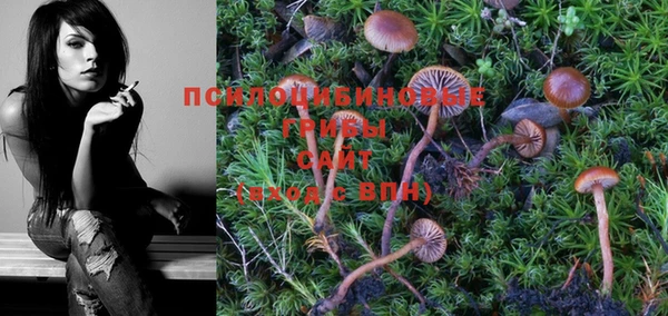 тгк Мегион