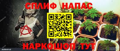 МДПВ Будённовск