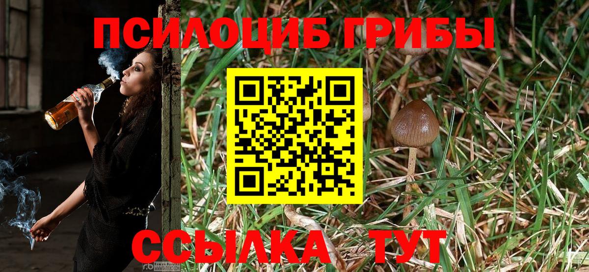 Псилоцибиновые грибы ЛСД Гуково