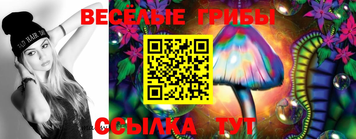 Гуково  как найти наркотики  Вход с VPN  Псилоцибиновые грибы прущие грибы 