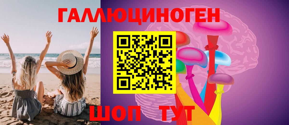 Галлюциногенные грибы Psilocybe  Гуково 